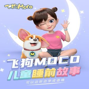 ADM-529森日向子航空
